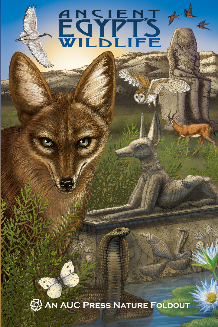 Cover image for Ancient Egypt's Wildlife ISBN 9789774165955